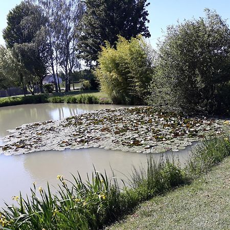 Comme A La Maison Pres Des Chateaux De La Loire Feings Kültér fotó