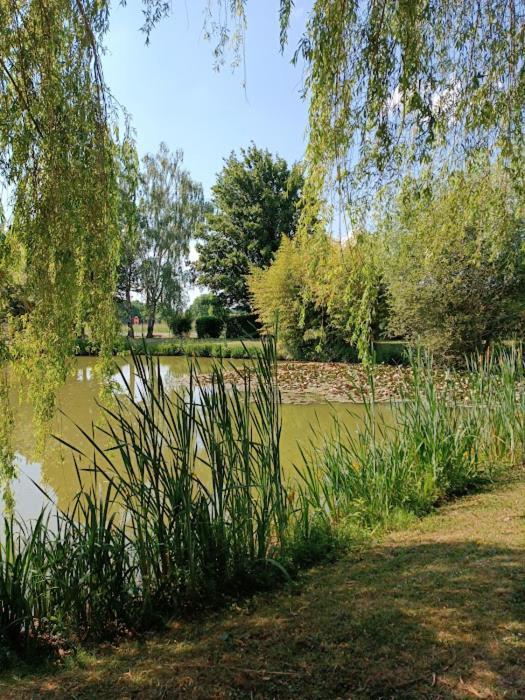 Comme A La Maison Pres Des Chateaux De La Loire Feings Kültér fotó